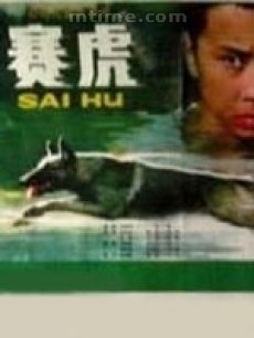 赛虎海报