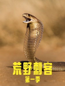 荒野刺客 第1季