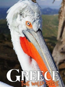 希腊 狂野的一面