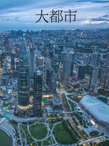 大都市