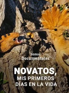 菜鸟们的生命第一天